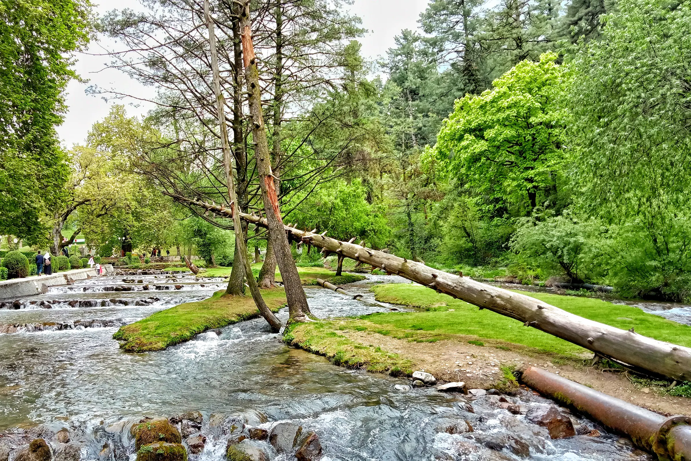 Kokernag